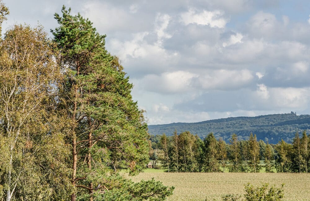 Nära till både vardag och semesterkänsla