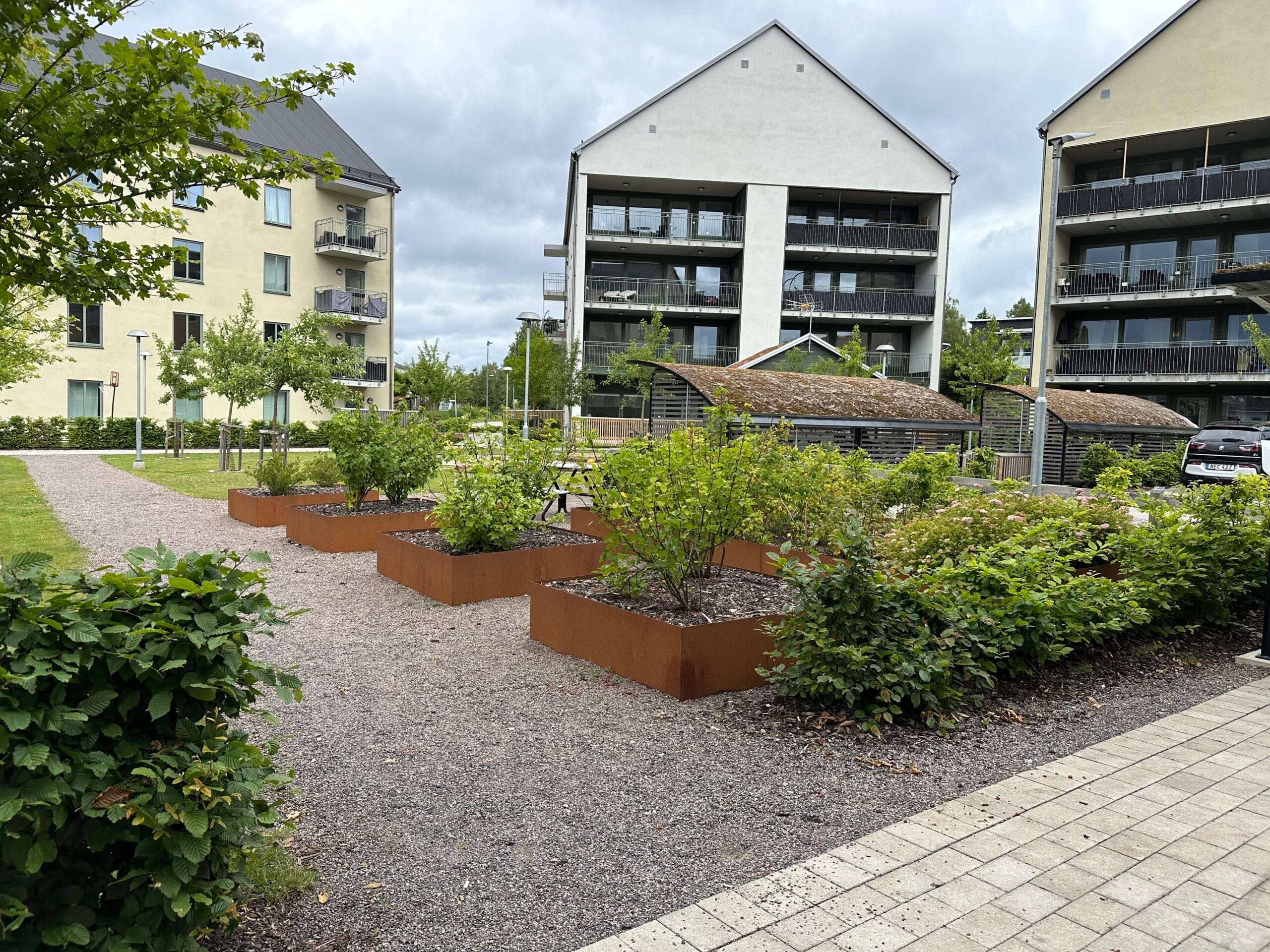 Grön innergård med planteringar framför moderna lägenhetshus med balkonger.