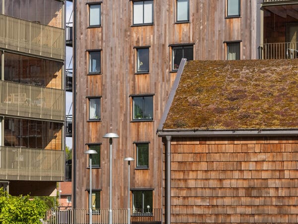 Utsnitt från en innergård i Agronomen visar träbeklädda byggnader och välskötta gröna ytor – ett signum för GBJ bostads projekt.